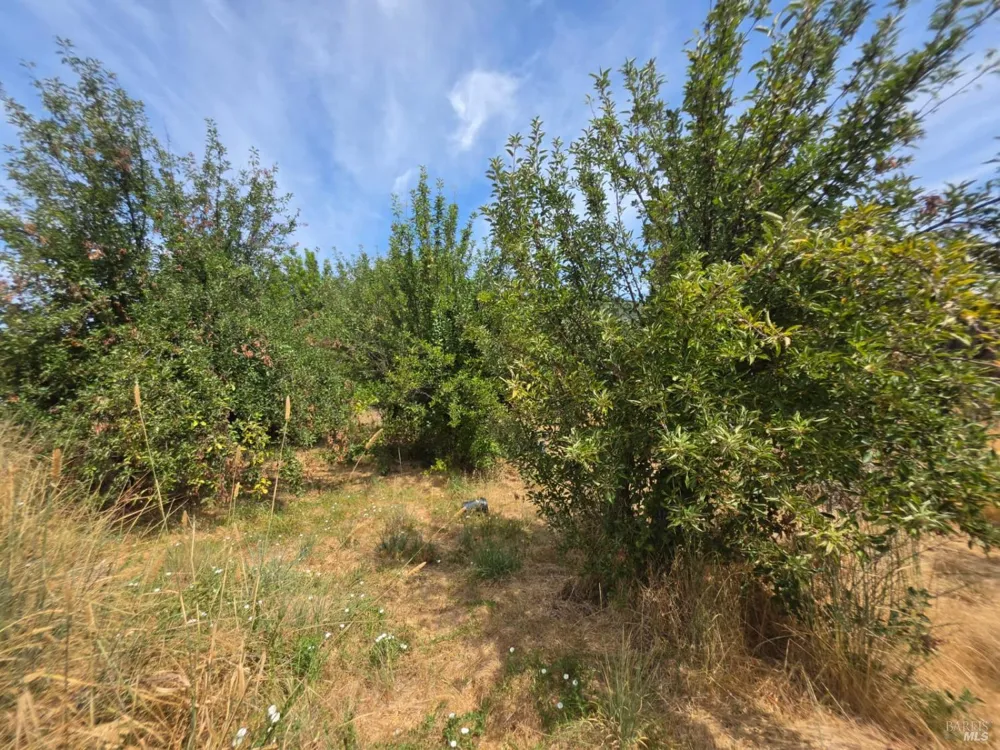 24135 Agency Road Covelo, CA 95428