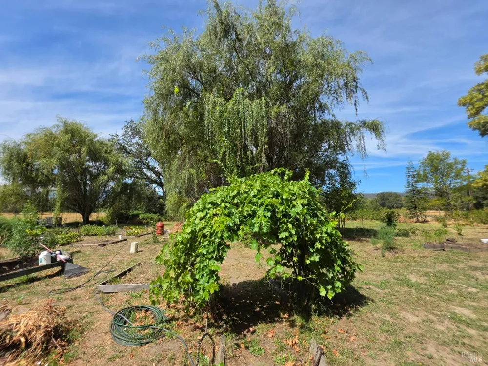 24135 Agency Road Covelo, CA 95428
