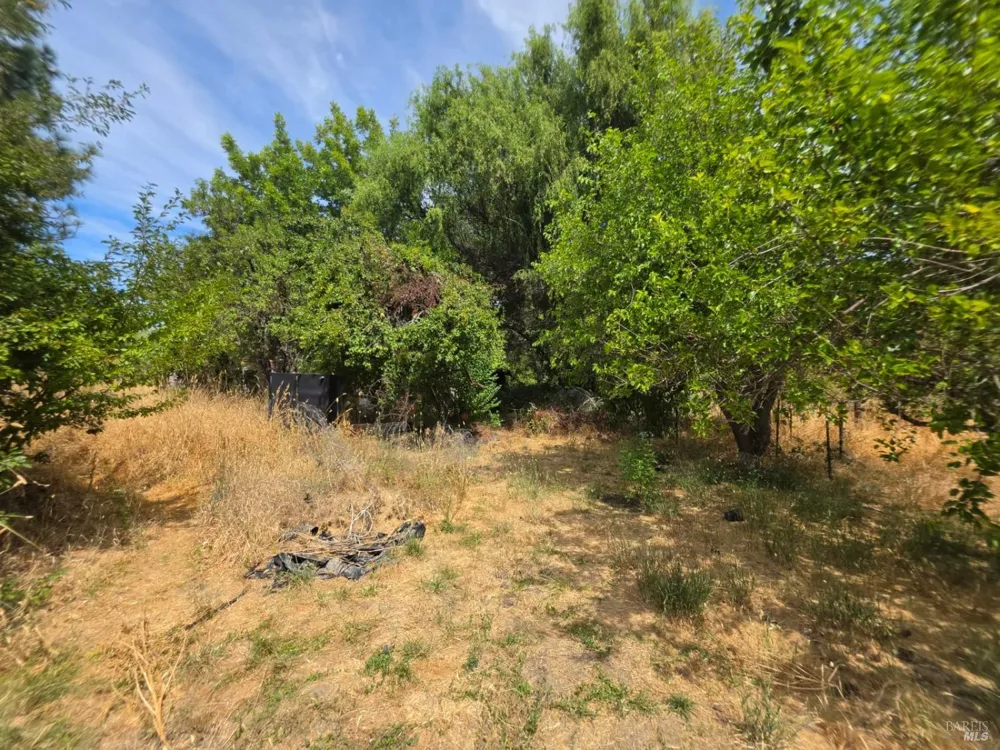 24135 Agency Road Covelo, CA 95428