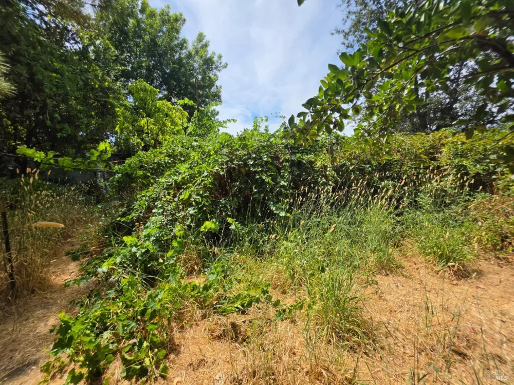 24135 Agency Road Covelo, CA 95428