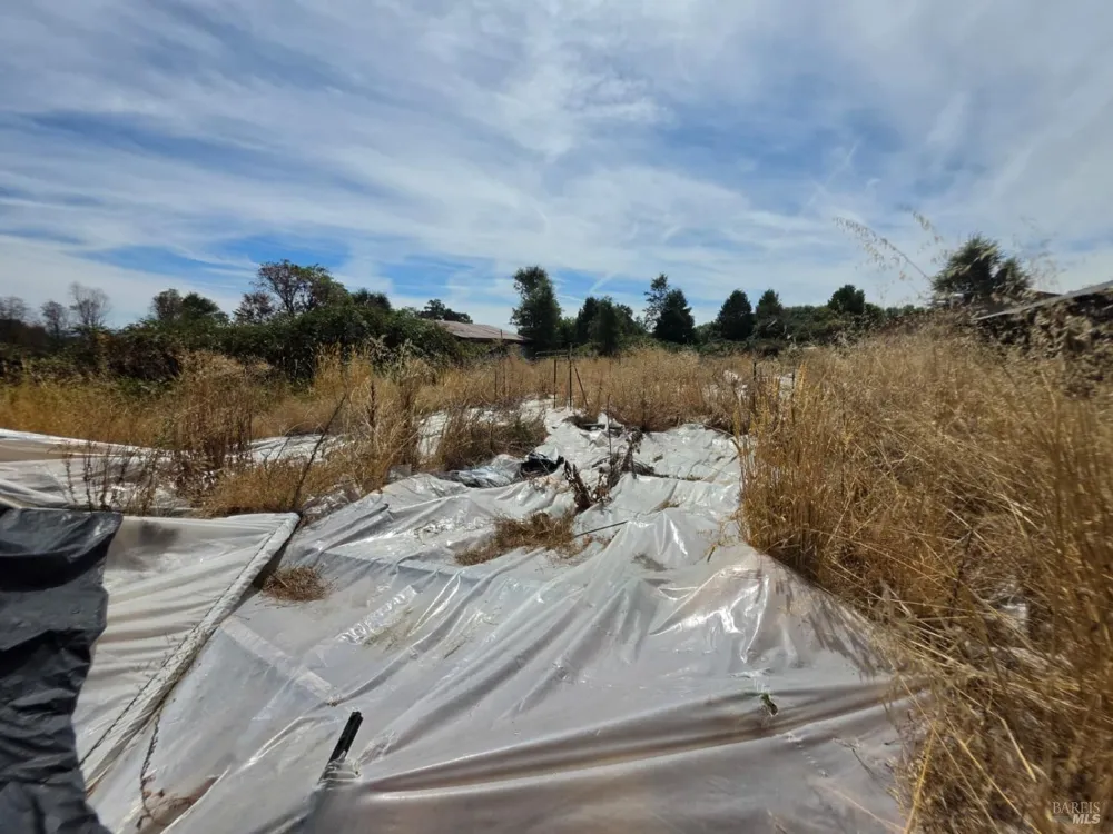 24135 Agency Road Covelo, CA 95428