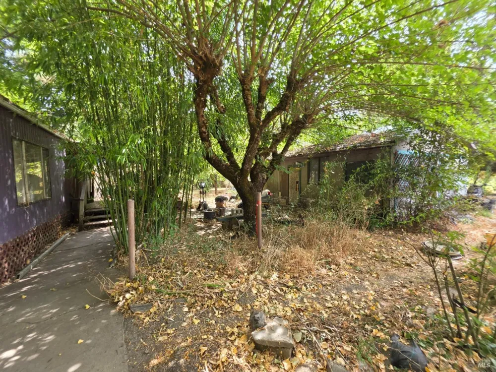 24135 Agency Road Covelo, CA 95428
