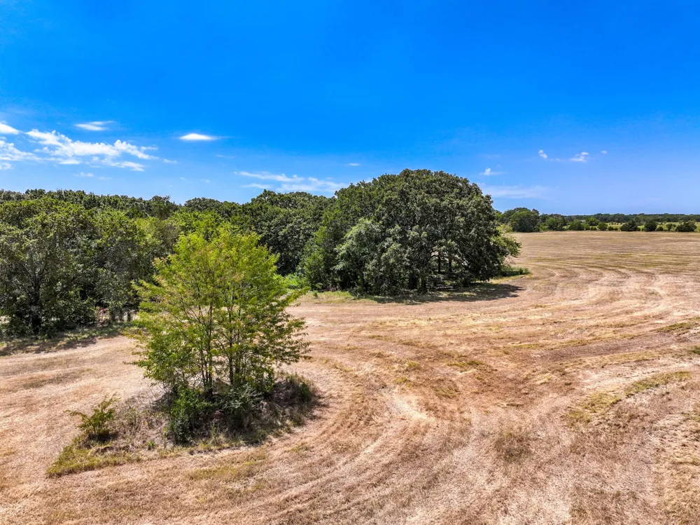County Road 2615 Ivanhoe, TX 75447