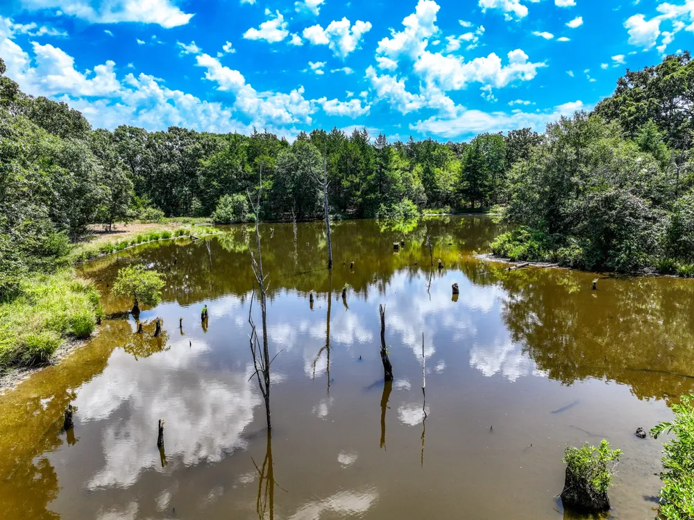 County Road 2615 Ivanhoe, TX 75447