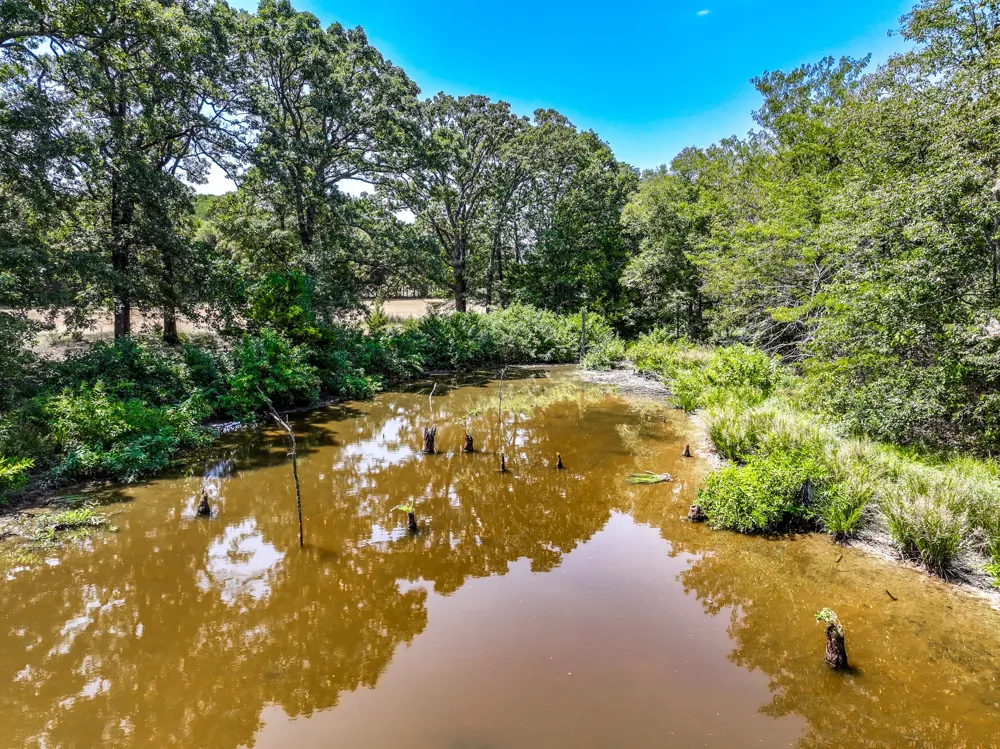 County Road 2615 Ivanhoe, TX 75447