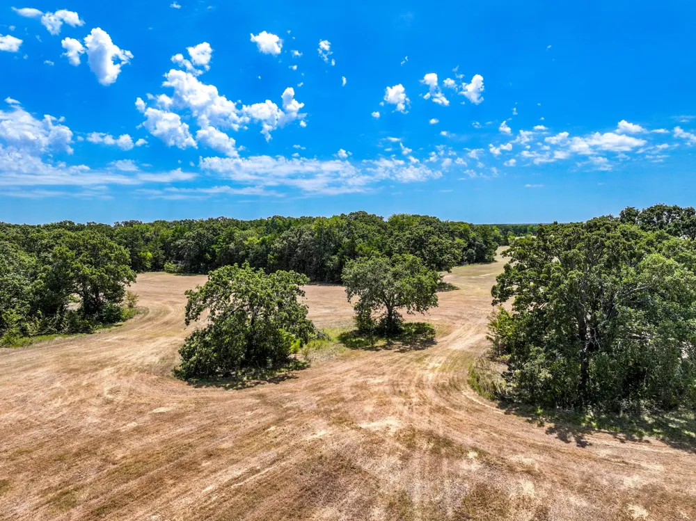 County Road 2615 Ivanhoe, TX 75447