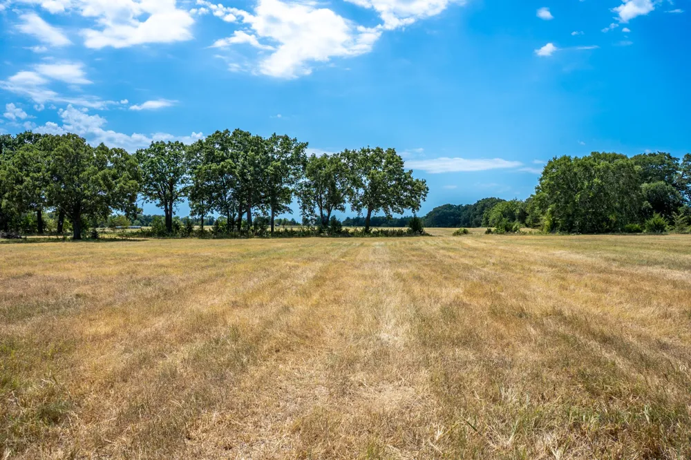 County Road 2615 Ivanhoe, TX 75447