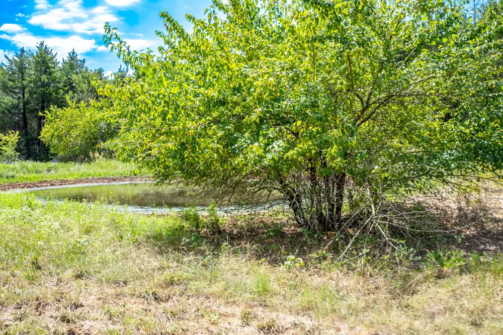 County Road 2615 Ivanhoe, TX 75447