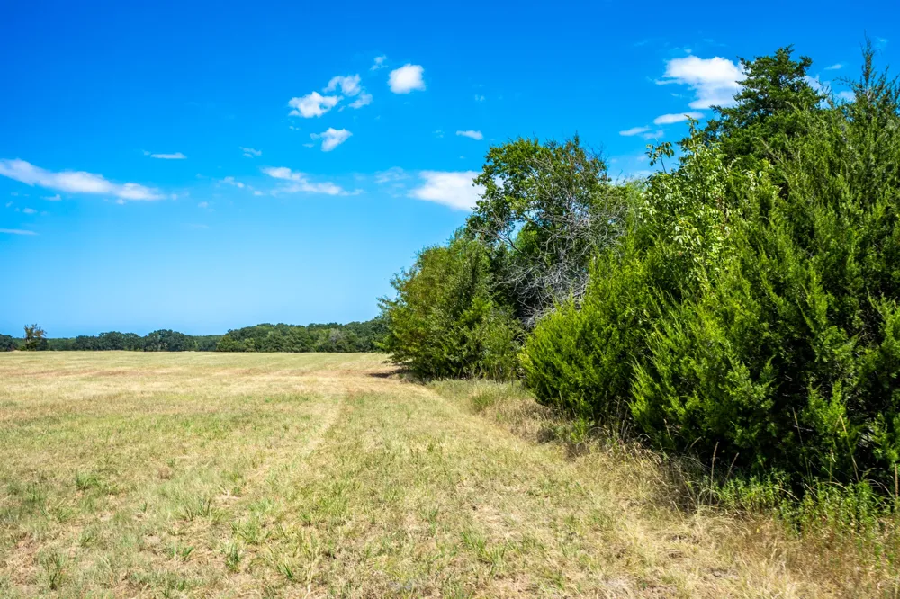 County Road 2615 Ivanhoe, TX 75447