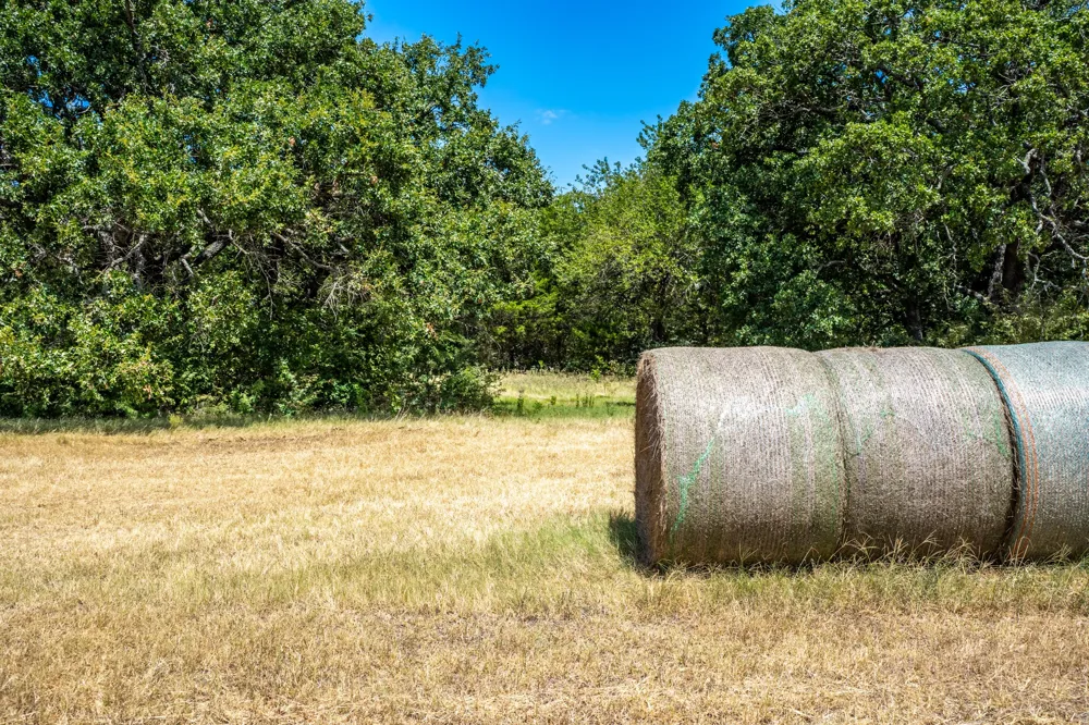 County Road 2615 Ivanhoe, TX 75447