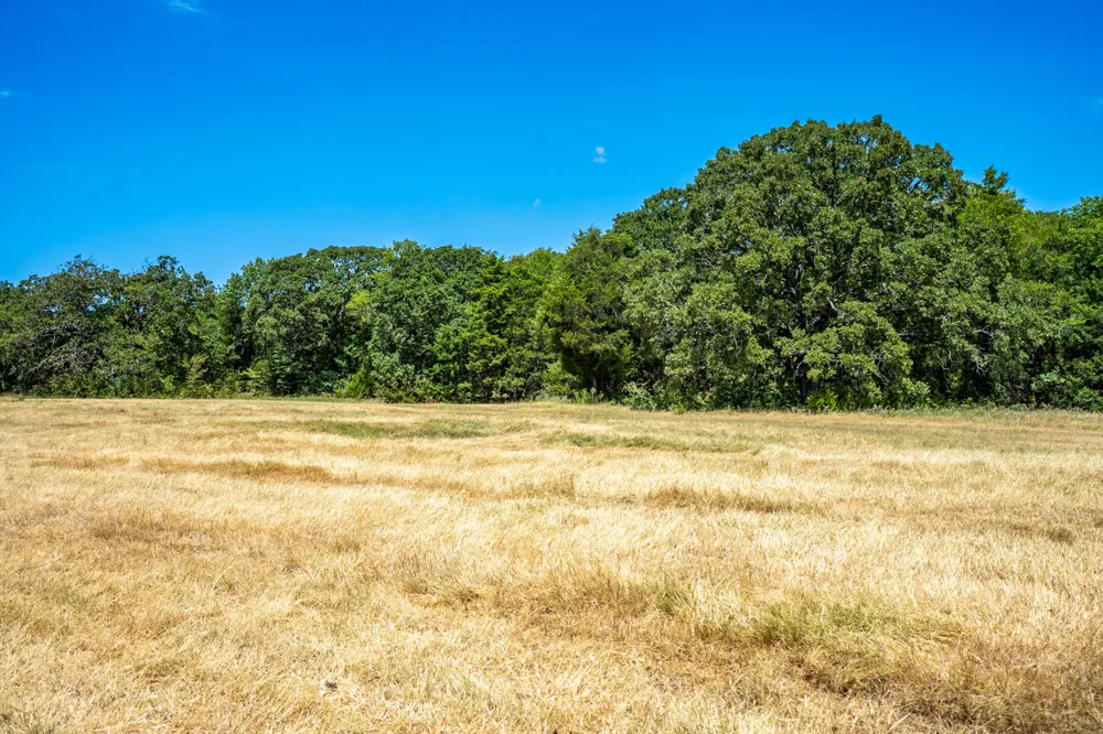 County Road 2615 Ivanhoe, TX 75447