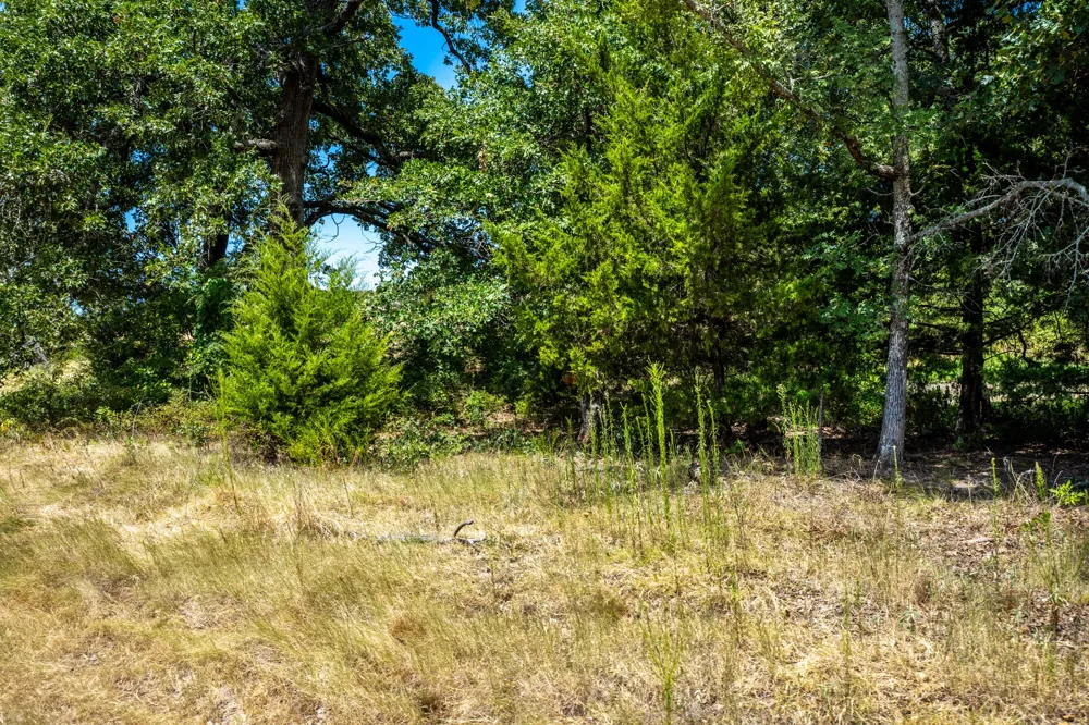 County Road 2615 Ivanhoe, TX 75447
