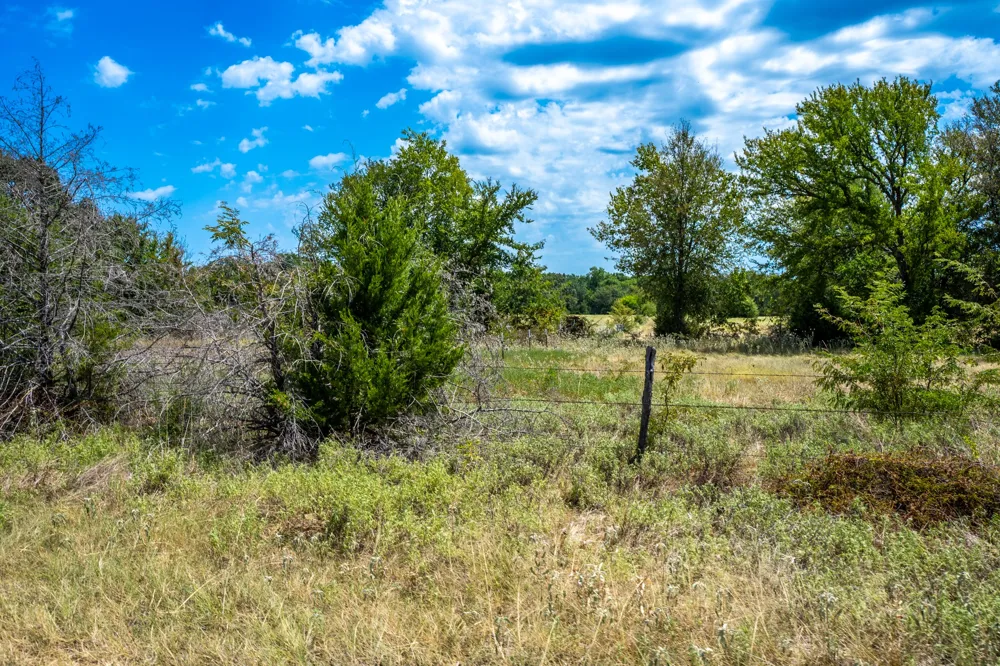 County Road 2615 Ivanhoe, TX 75447