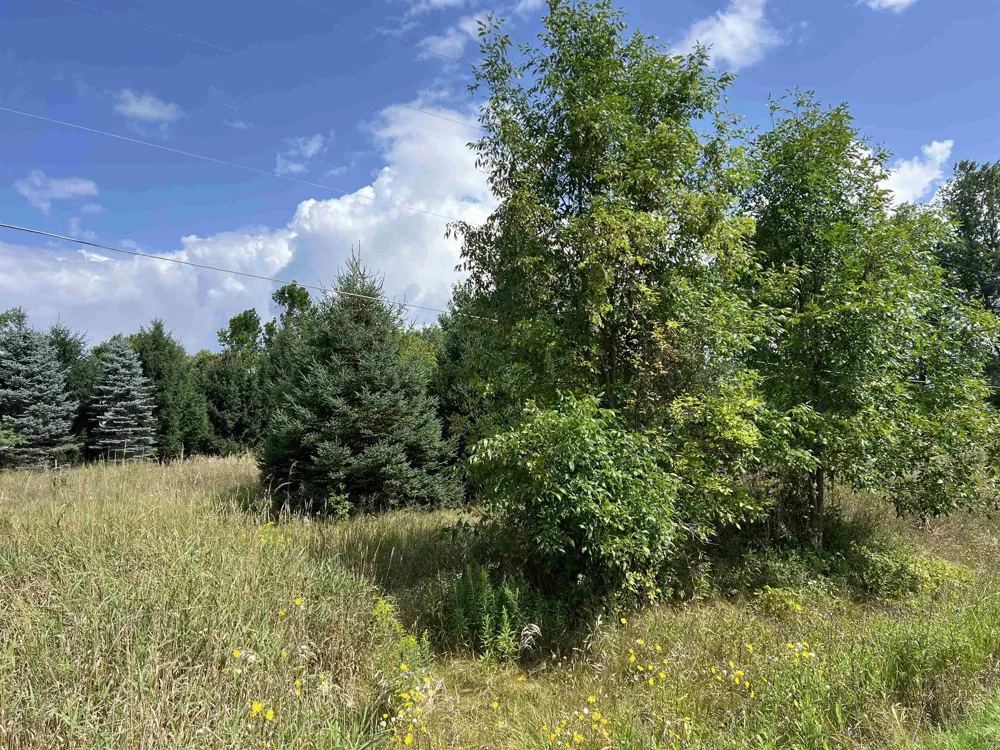 E River Road Union Charter Township, MI 48858