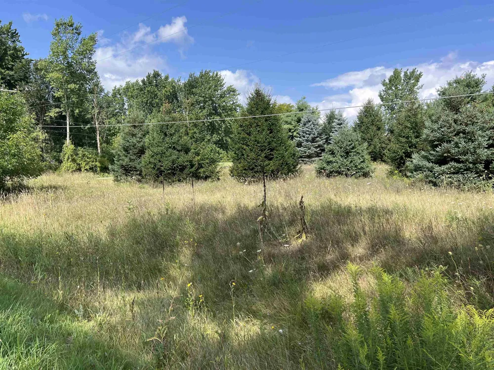 E River Road Union Charter Township, MI 48858