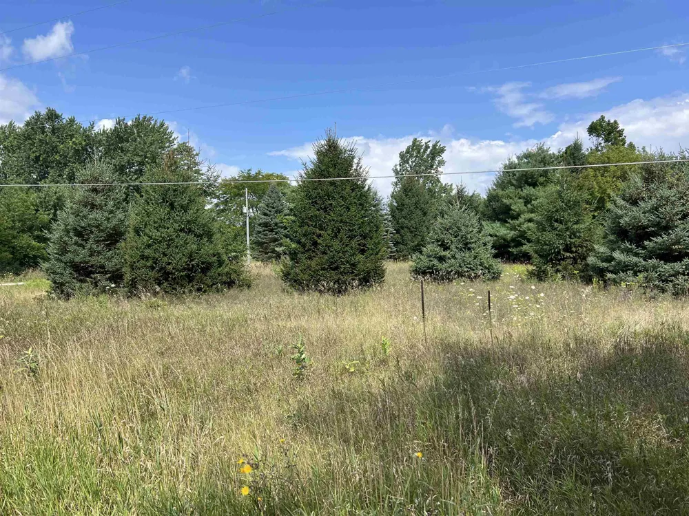 E River Road Union Charter Township, MI 48858