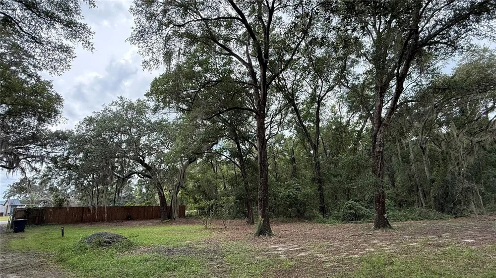 1520 BADEN POWELL ROAD Hawthorne, FL 32640