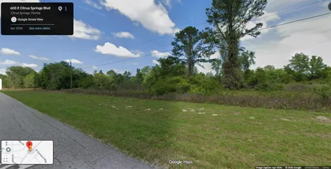 603 E CITRUS SPRINGS BOULEVARD