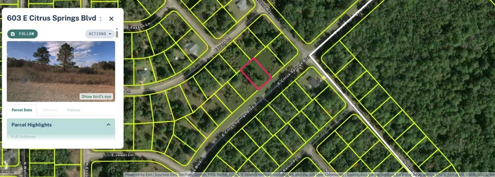 603 E CITRUS SPRINGS BOULEVARD Citrus Springs, FL 34434