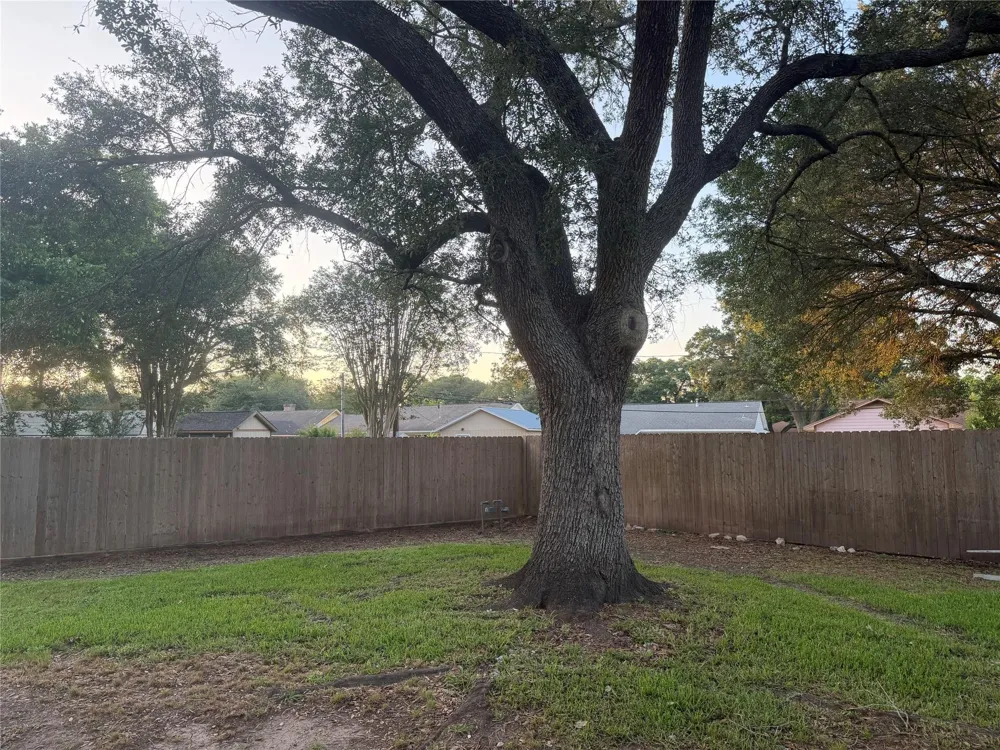 3815 Avenue R Rosenberg, TX 77471
