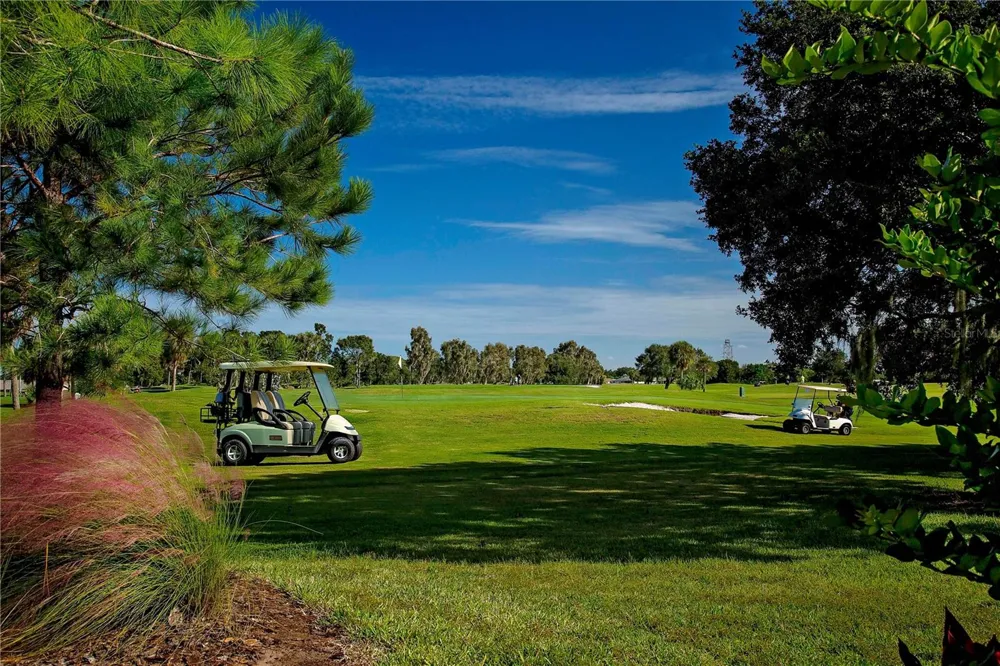 301 CRANSTON PLACE Sun City Center, FL 33573