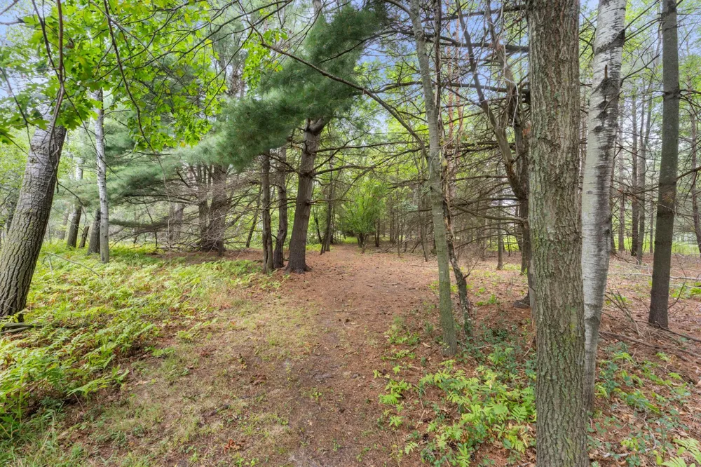 19543 Naples Street NE East Bethel, MN 55011