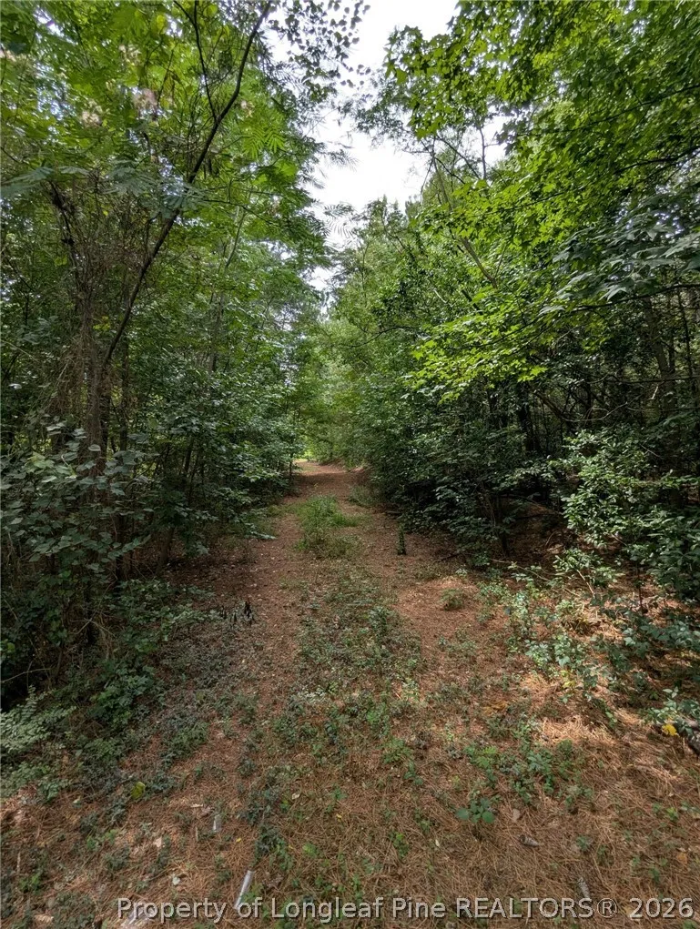 McNeill Lake Road Lumber Bridge, NC 28357