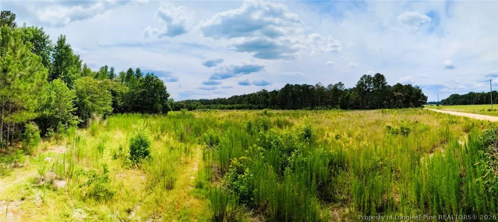 McNeill Lake Road Lumber Bridge, NC 28357
