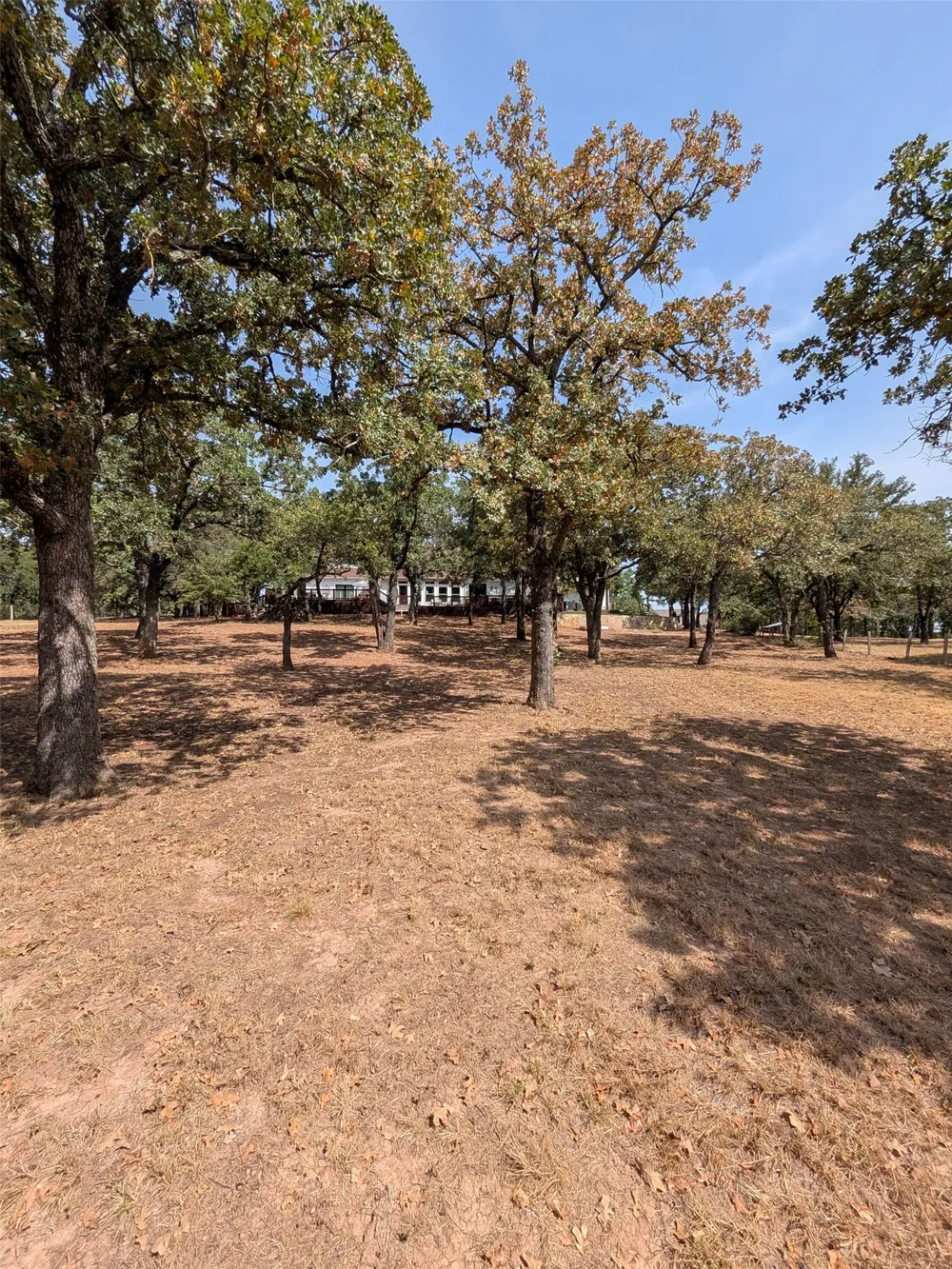 1481 Rolling Acres Drive Argyle, TX 76226