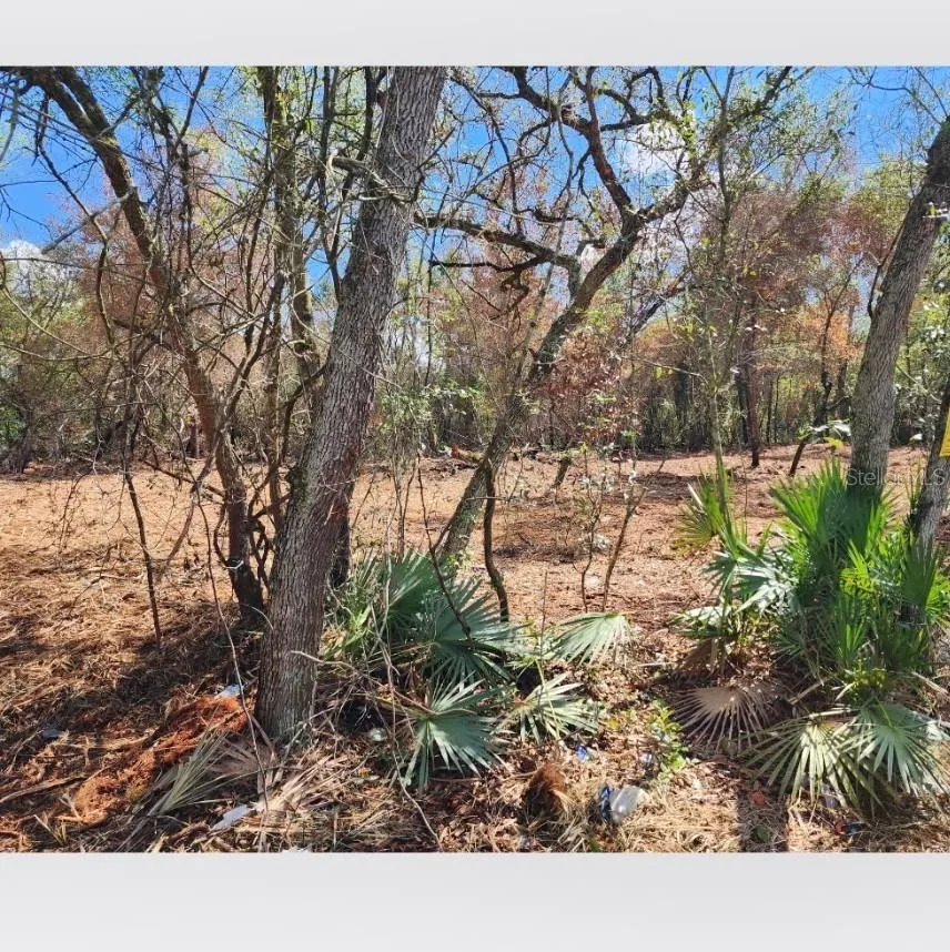 20445 SE 156TH ST STREET Umatilla, FL 32784