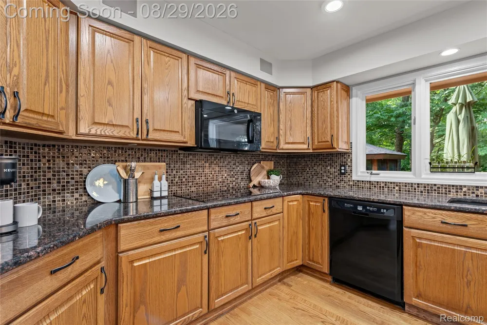 1733 Apple Ridge Court Rochester Hills City, MI 48306