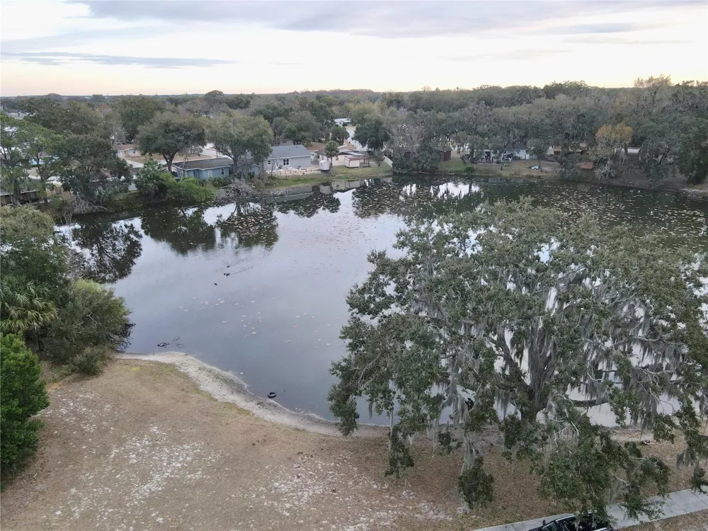 1311 BRAEBURY DRIVE Leesburg, FL 34748