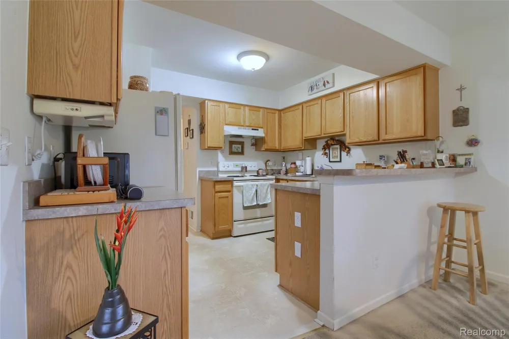 25338 Petros Drive Huron Charter Township, MI 48134