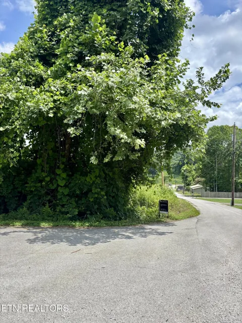 0 Davis Hollow Rd