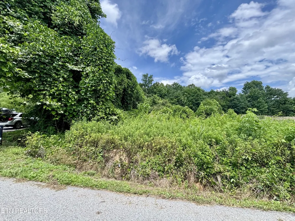 0 Davis Hollow Rd Harriman, TN 37748