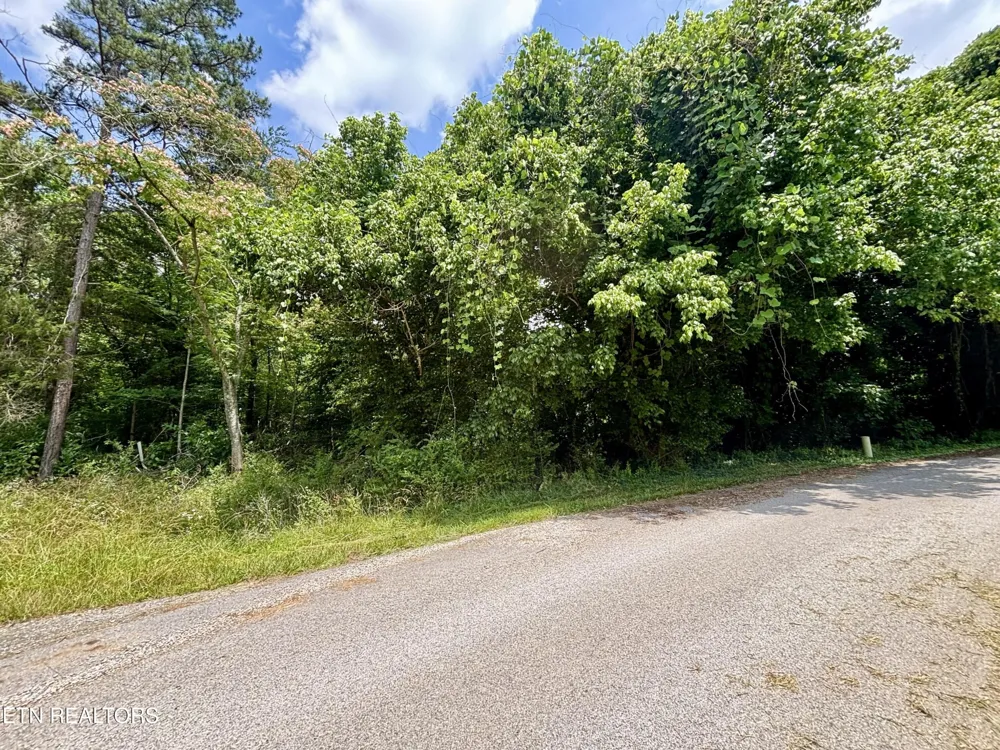 0 Davis Hollow Rd Harriman, TN 37748