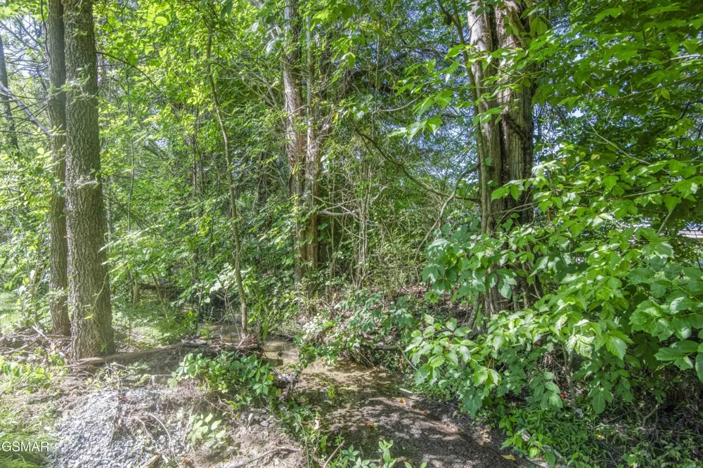 2329 Rock Gardens Drive Sevierville, TN 37876