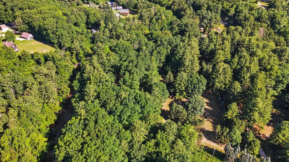 1091 River Trail Lincoln Township, MI 49349
