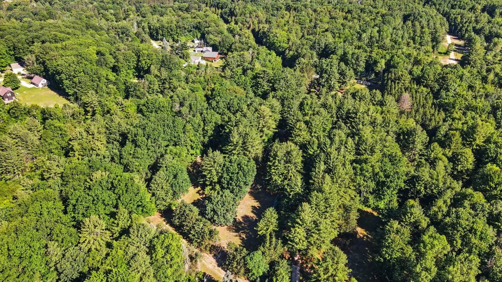 1091 River Trail Lincoln Township, MI 49349