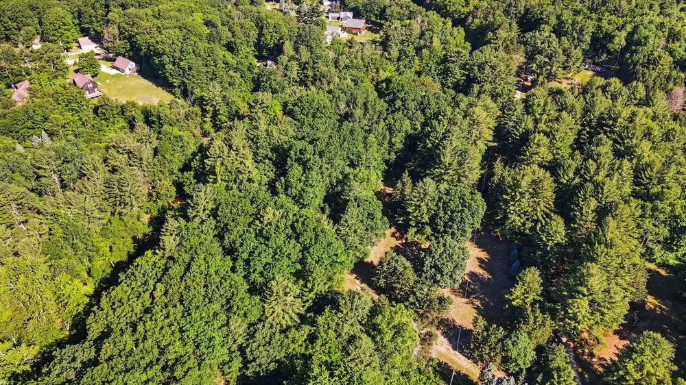 1091 River Trail Lincoln Township, MI 49349