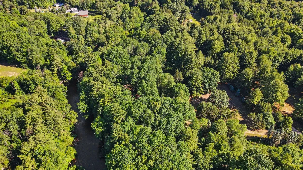 1091 River Trail Lincoln Township, MI 49349