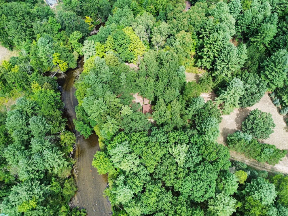 1091 River Trail Lincoln Township, MI 49349
