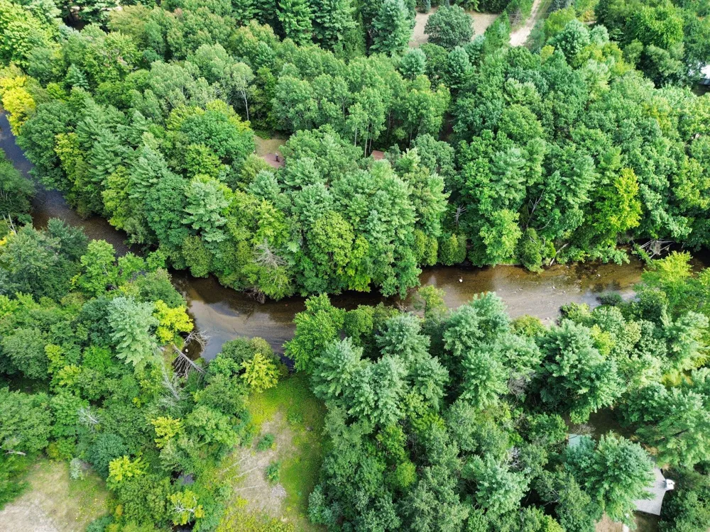 1091 River Trail Lincoln Township, MI 49349