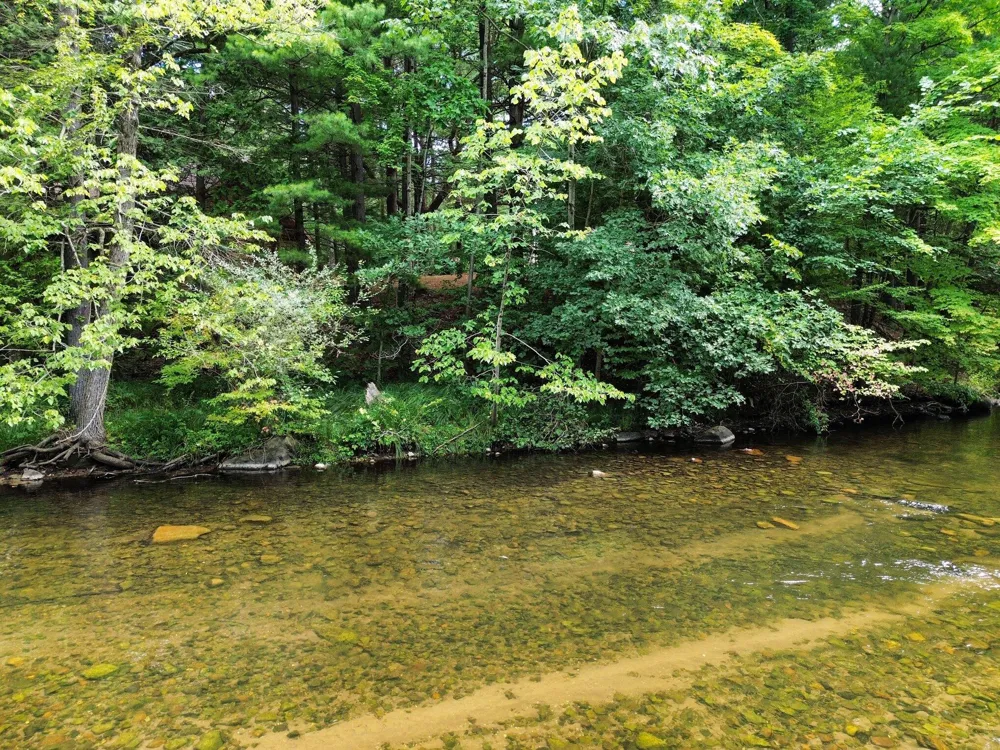 1091 River Trail Lincoln Township, MI 49349