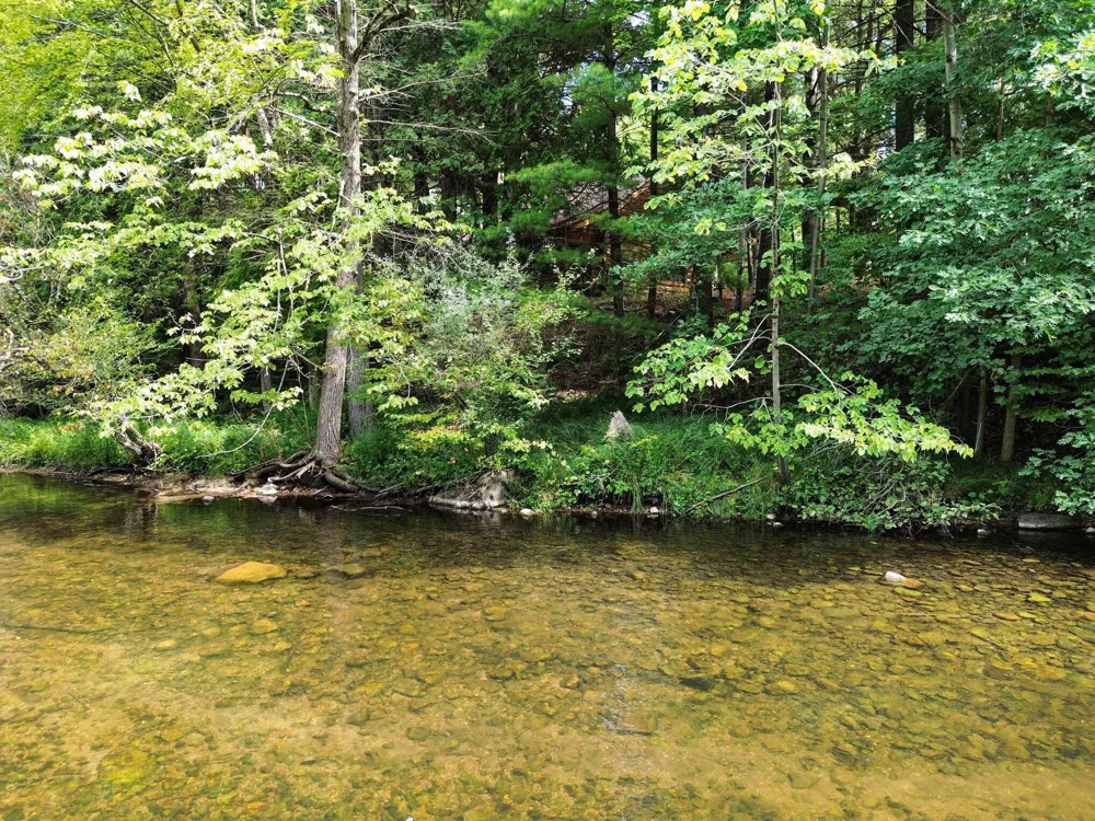 1091 River Trail Lincoln Township, MI 49349