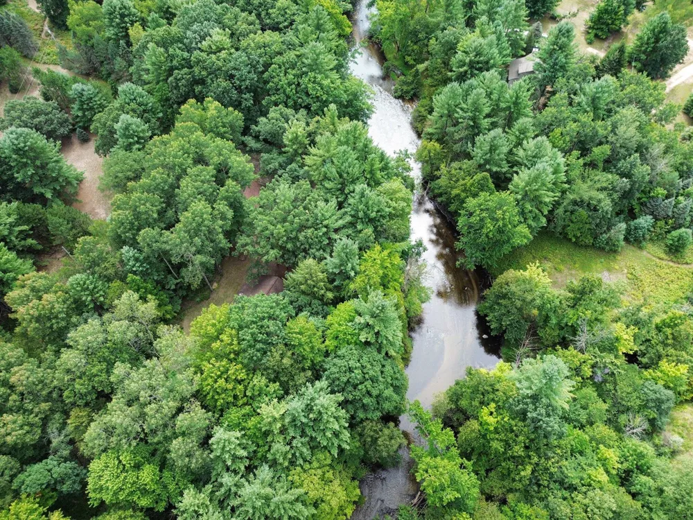 1091 River Trail Lincoln Township, MI 49349
