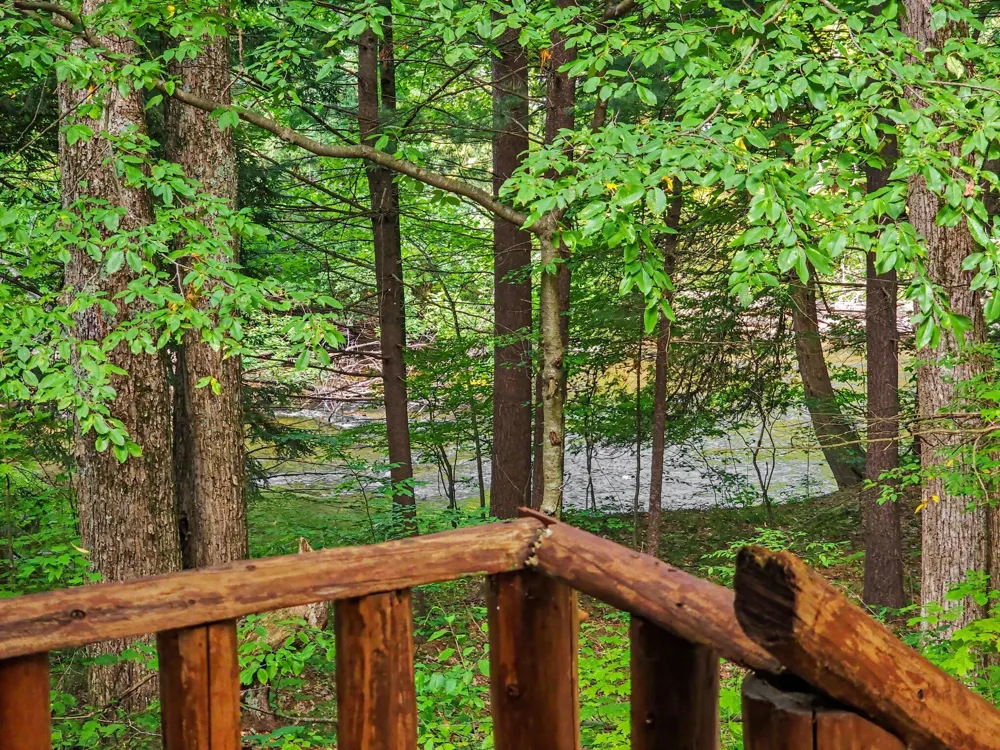 1091 River Trail Lincoln Township, MI 49349