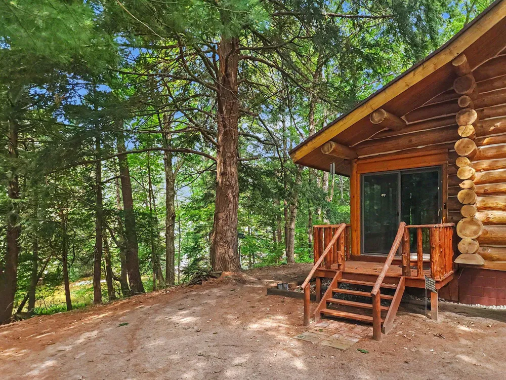 1091 River Trail Lincoln Township, MI 49349