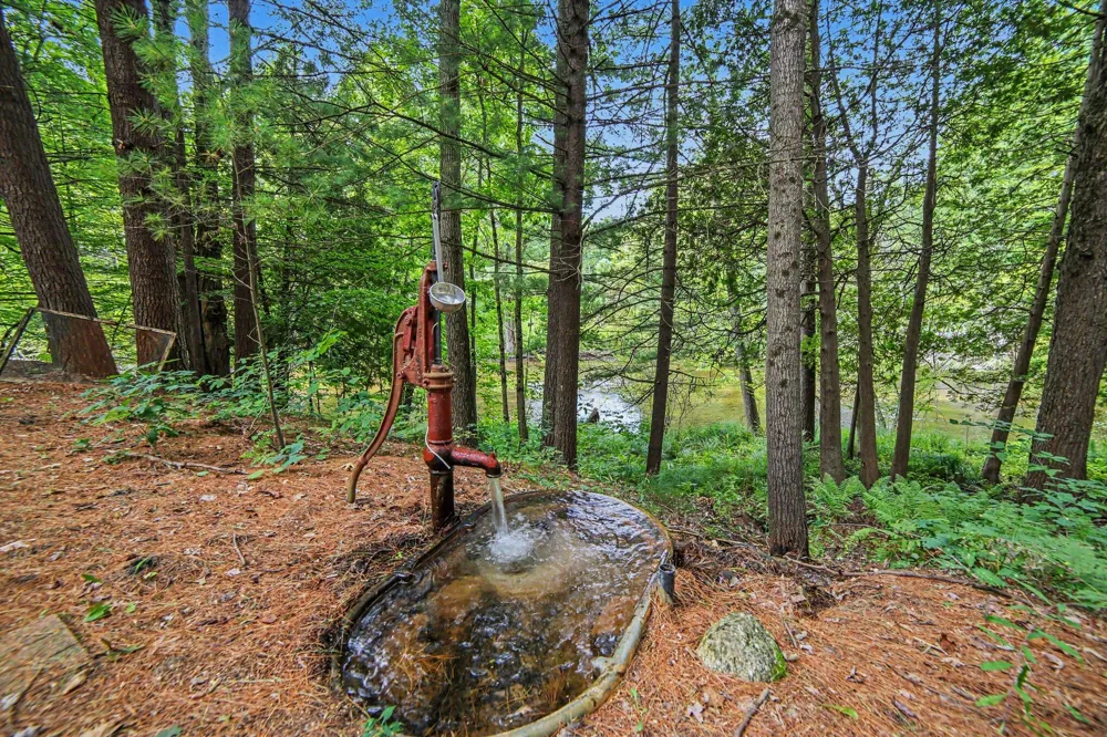 1091 River Trail Lincoln Township, MI 49349