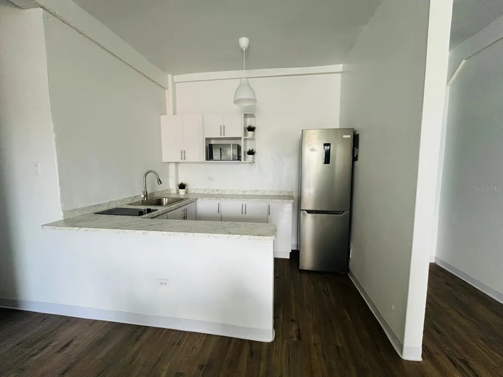 2844 AVE. ROOSEVELT #206 Ponce, PR 00716